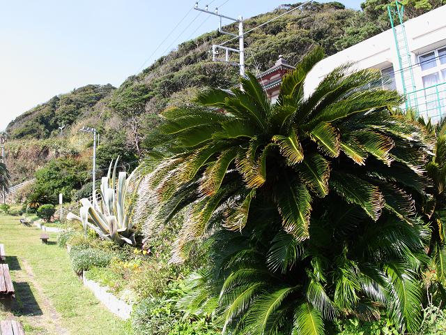 e0188677_21462749.jpg