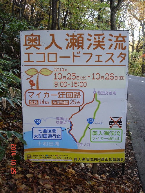 d0165378_1003265.jpg