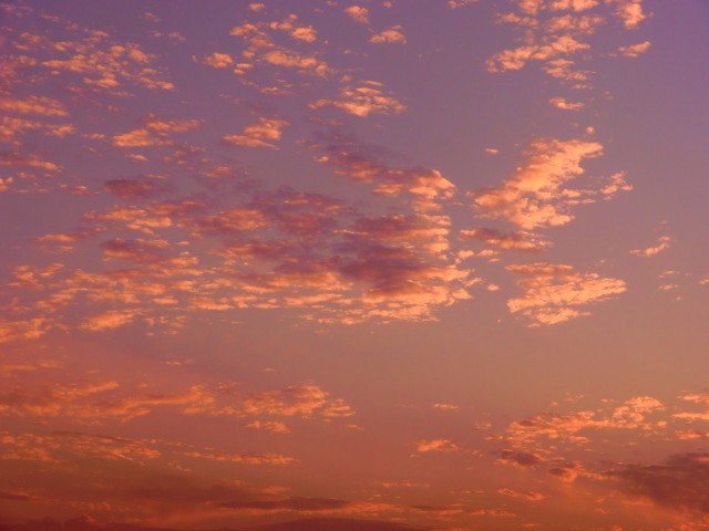e0215081_164746.jpg