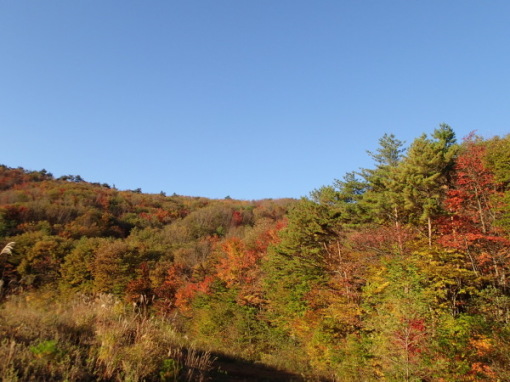 a0279883_09014732.jpg