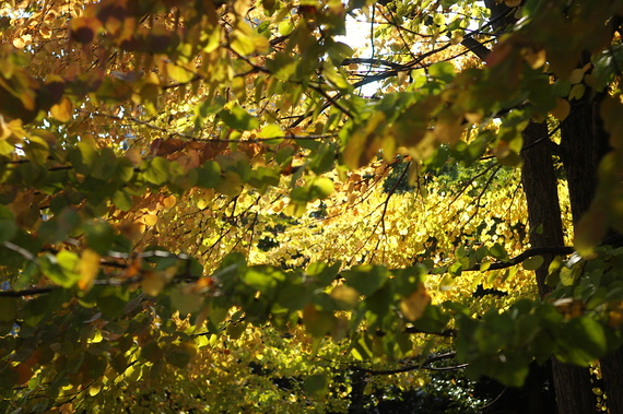 b0160184_23124730.jpg