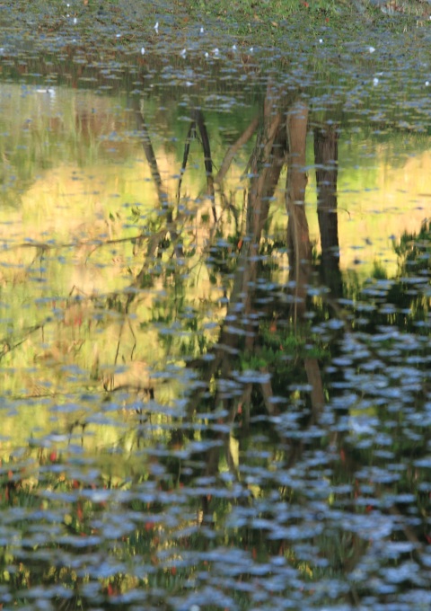 f0350585_12311861.jpg