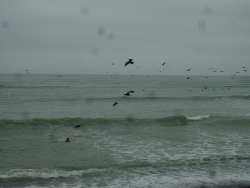 c0123890_2255710.jpg
