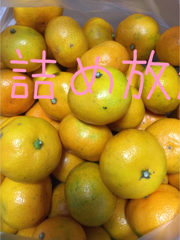 c0042491_21555968.jpg