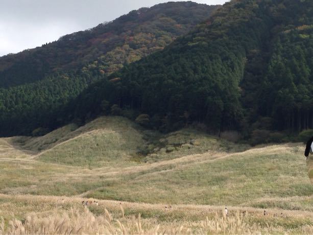 d0057701_19234132.jpg