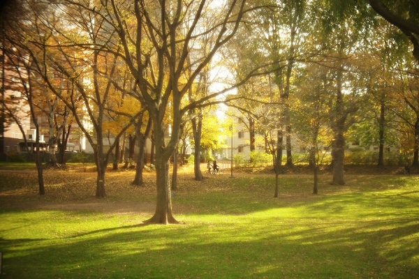c0202705_17565485.jpg