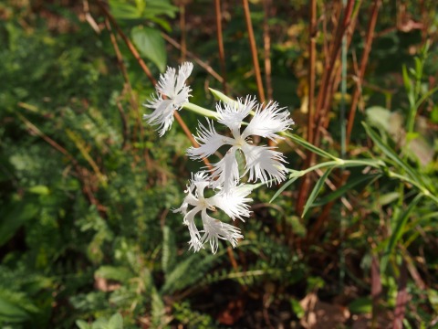 c0117007_22504123.jpg