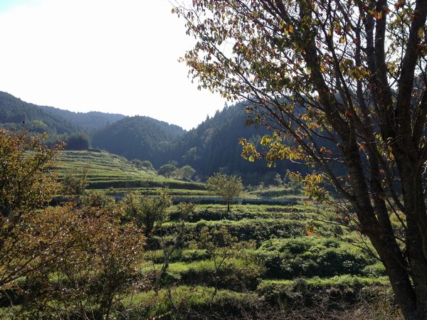 f0221708_17274256.jpg