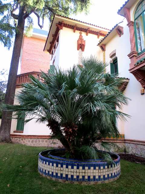 b0064411_15482327.jpg