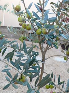 a0251413_14140210.jpg