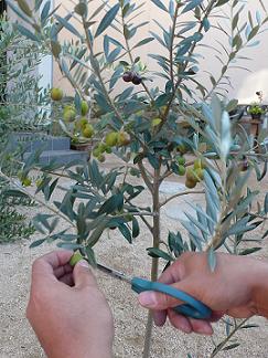 a0251413_14221771.jpg