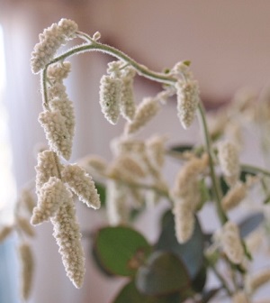 c0247614_17141623.jpg