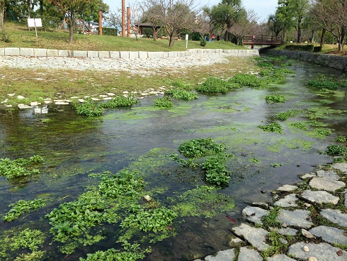c0046316_23191518.jpg