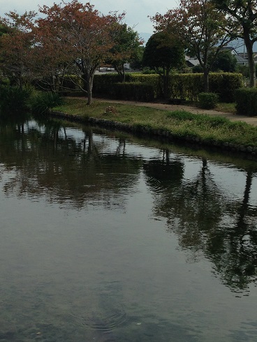 c0046316_2341380.jpg