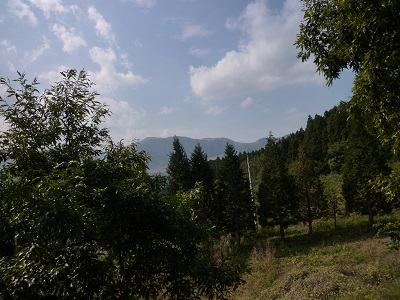 f0031420_12291024.jpg