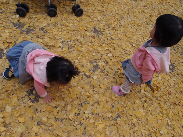 a0146929_22351339.jpg