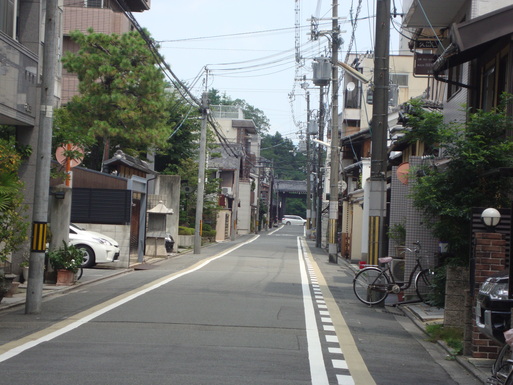 d0193232_1515732.jpg