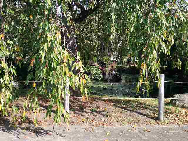 f0208737_752496.jpg