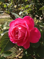f0065542_21424590.jpg