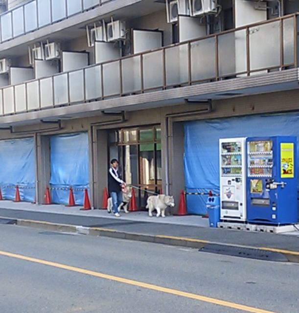 e0121548_10241975.jpg