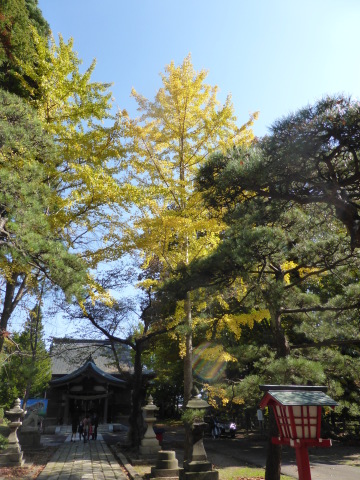 b0238249_20342450.jpg