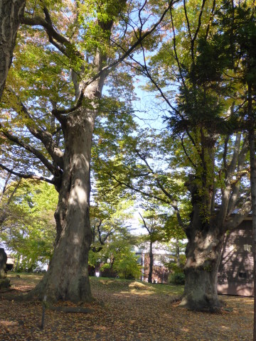 b0238249_20580438.jpg