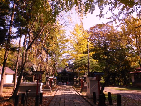 b0238249_20584042.jpg