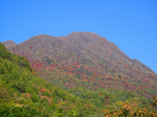 c0179351_8474974.jpg