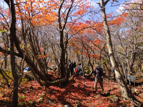 c0179351_8524357.jpg