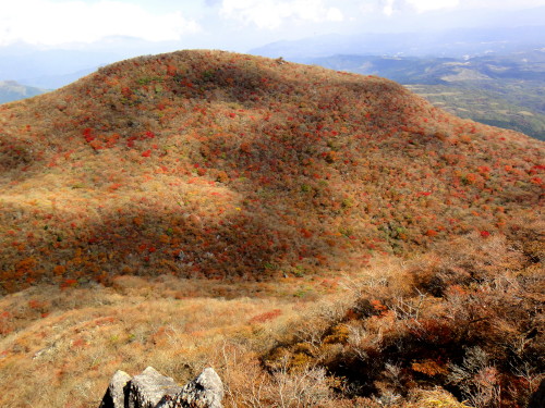c0179351_8555637.jpg