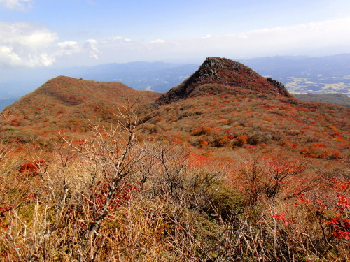 c0179351_8564284.jpg