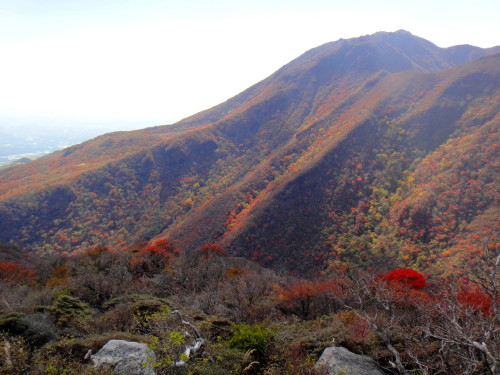c0179351_8572469.jpg