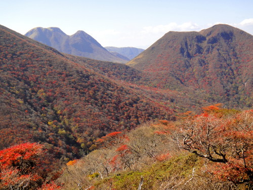 c0179351_858517.jpg