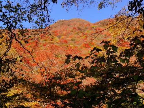 c0179351_904129.jpg