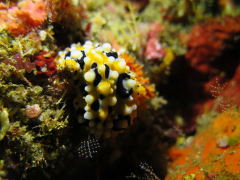 d0076952_16462515.jpg