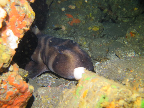 d0076952_16501338.jpg