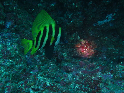 d0076952_16523840.jpg
