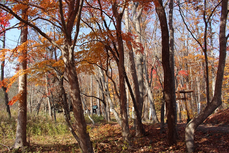 b0250154_18040824.jpg
