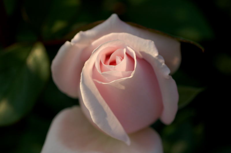 e0053660_21185394.jpg