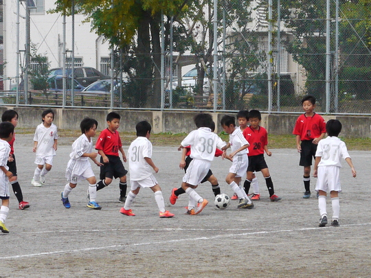 c0185364_1705037.jpg