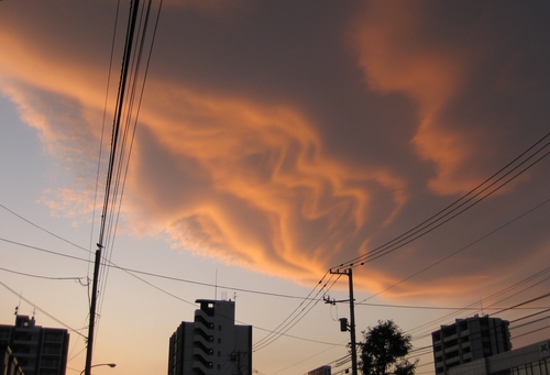c0148165_21131890.jpg