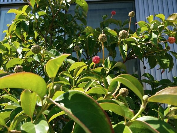 b0223766_12213188.jpg