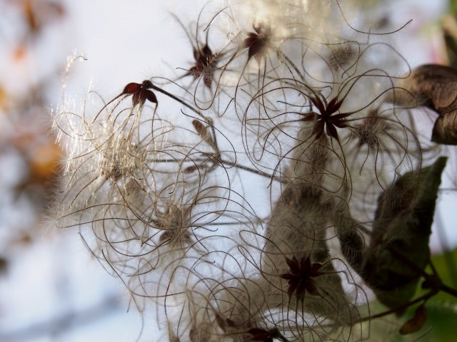 c0183777_1505014.jpg