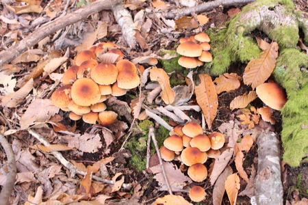 a0066081_20424090.jpg
