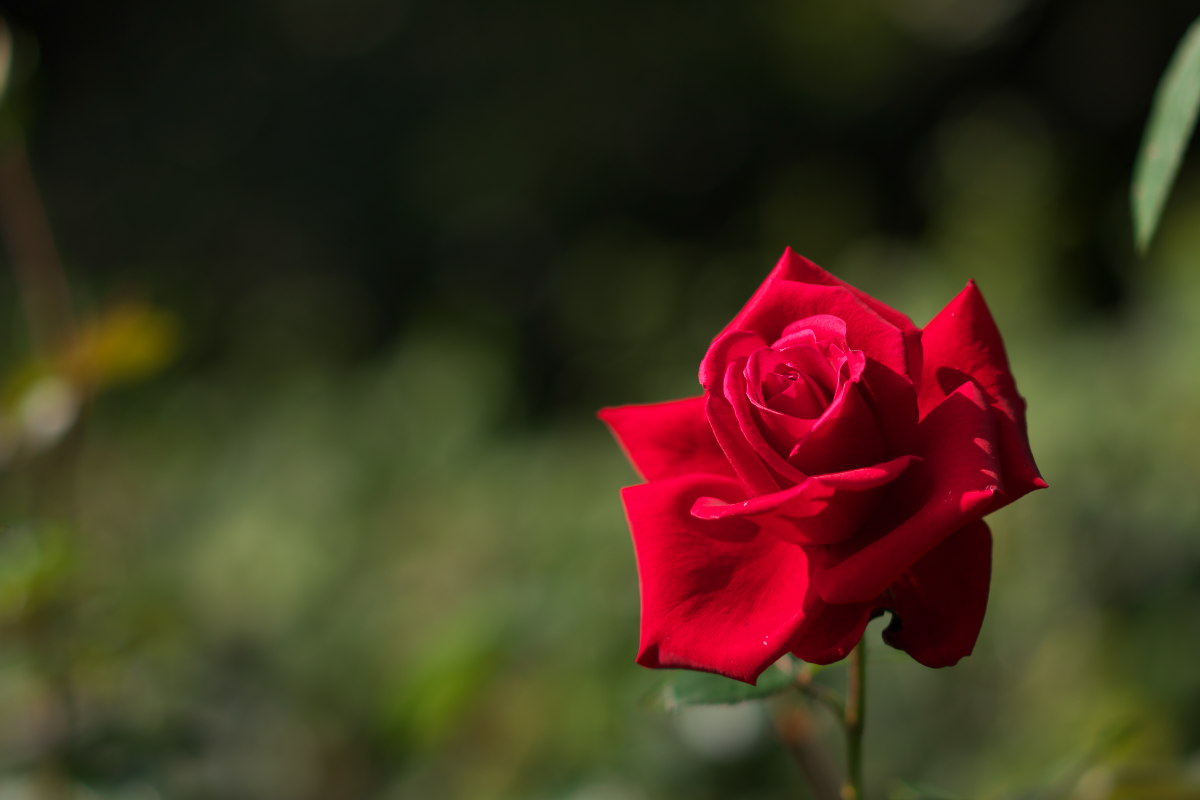 a0083081_8411834.jpg