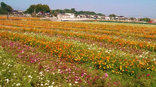 f0235289_05592652.jpg