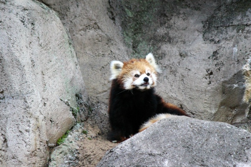 a0127090_21522721.jpg