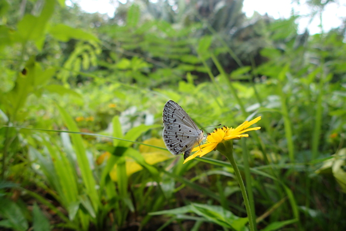 a0277496_9273025.jpg