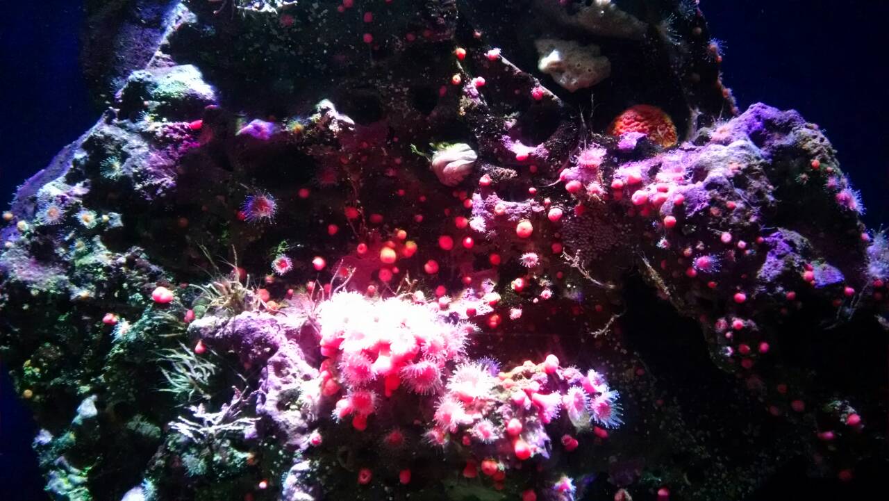 f0328897_07525116.jpg