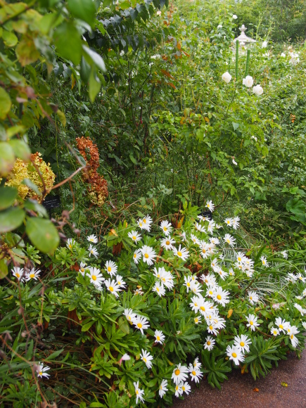 c0220700_13365675.jpg